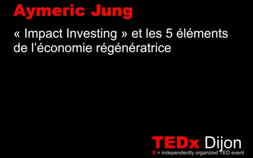 Aymeric Jung at TEDxDijon